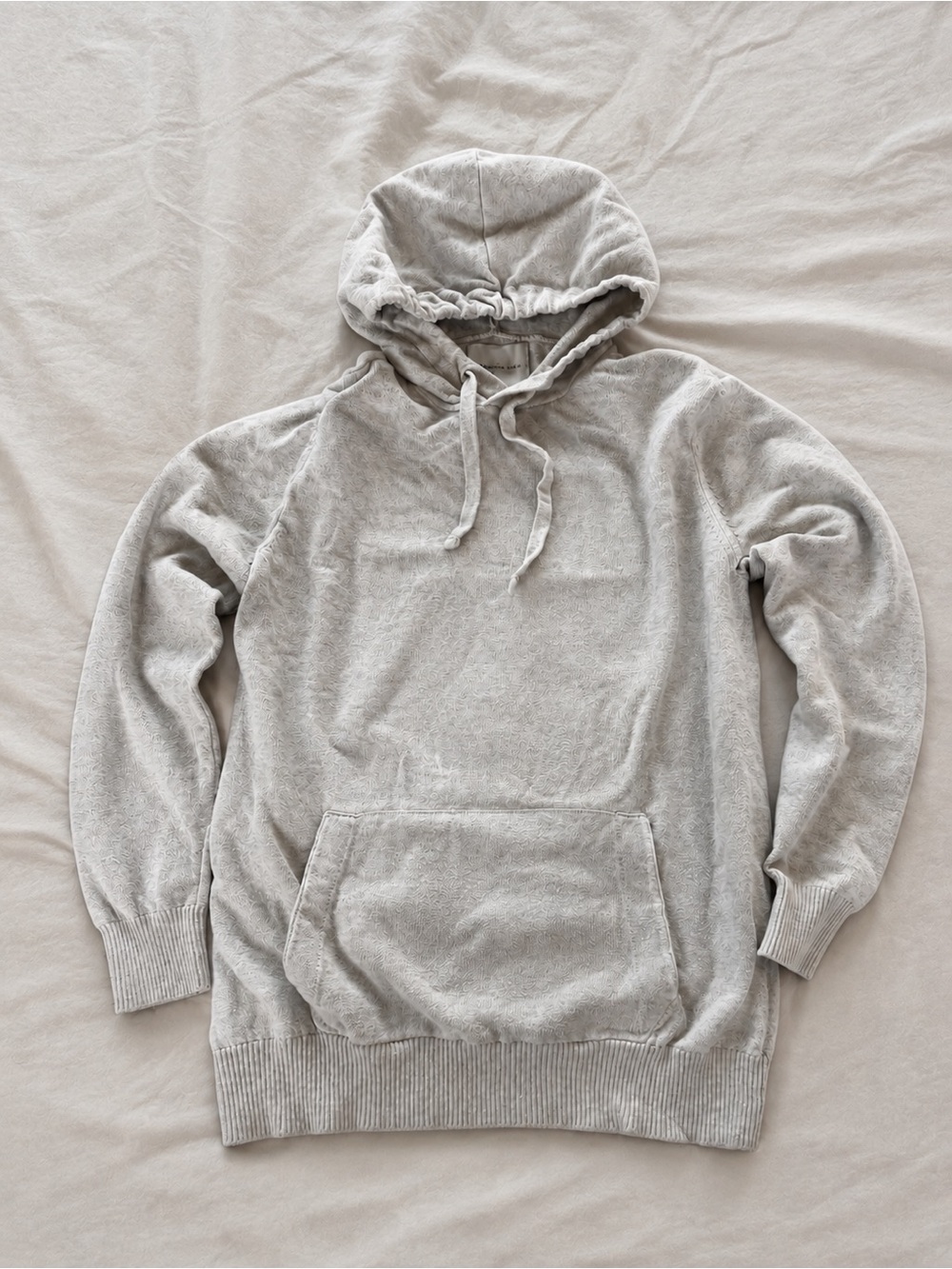 American Eagle Outfitters Men's Hooded Pullover - Light Gray